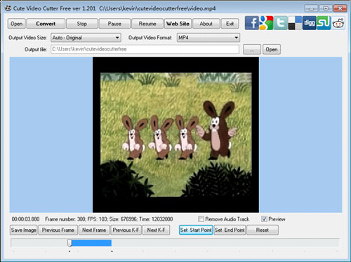 Phần mềm chỉnh sửa video Cute Video Cutter